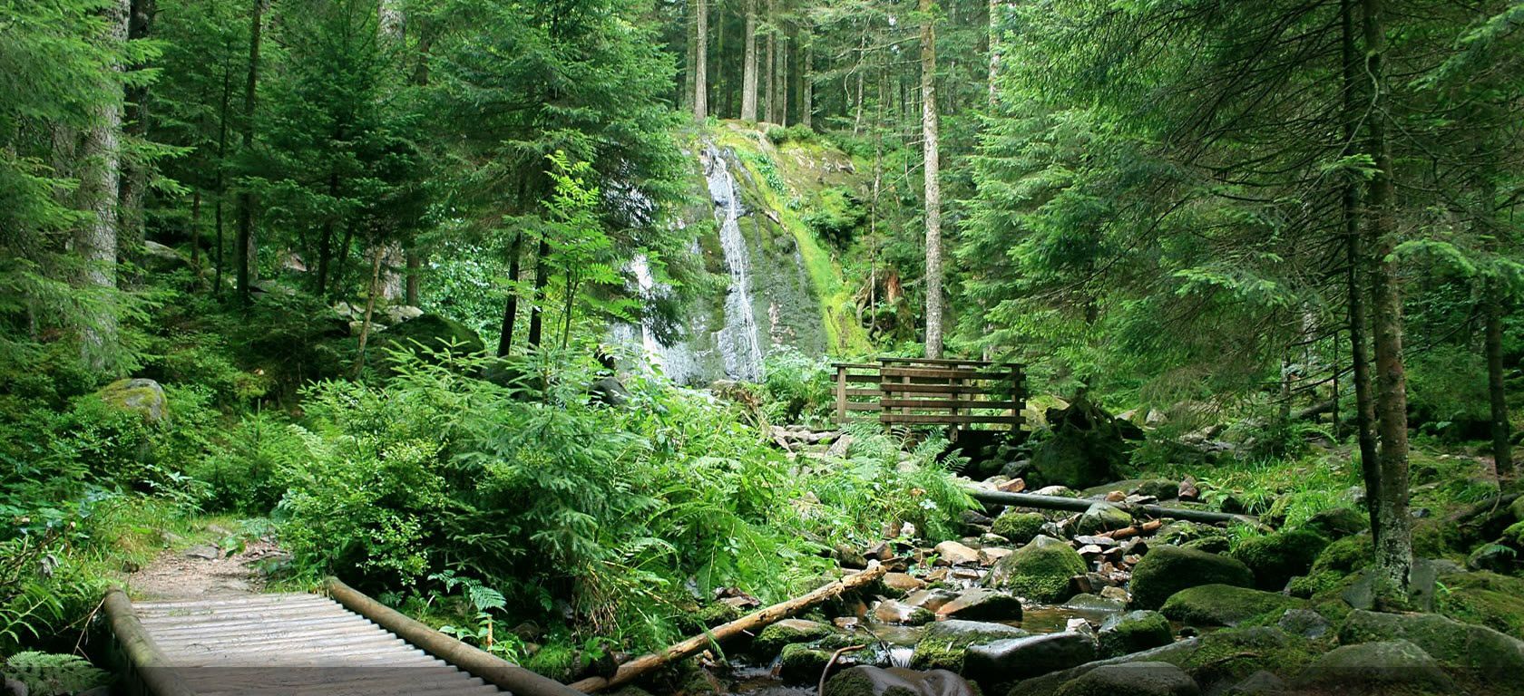 hotel-gerardmer