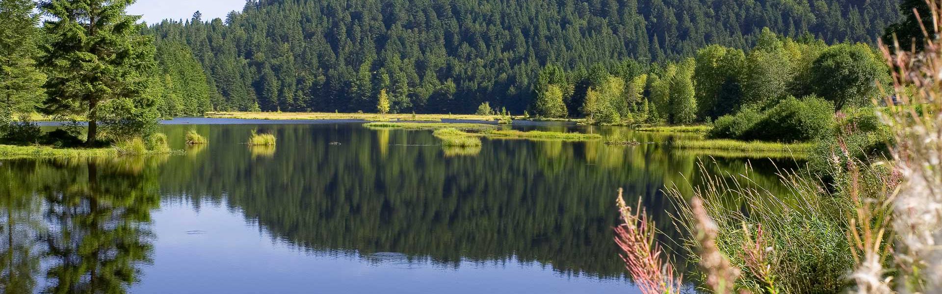 Lac de Gérardmer Vosges