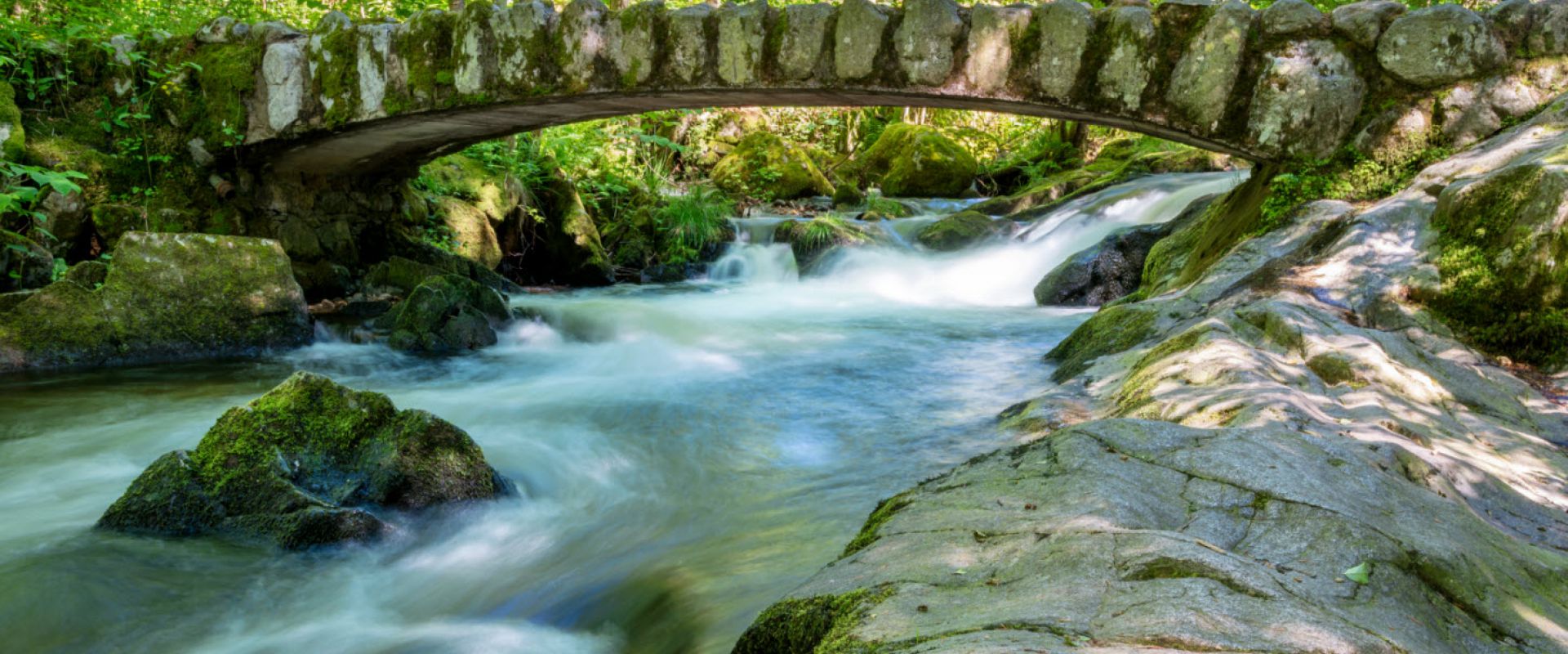 River Vosges